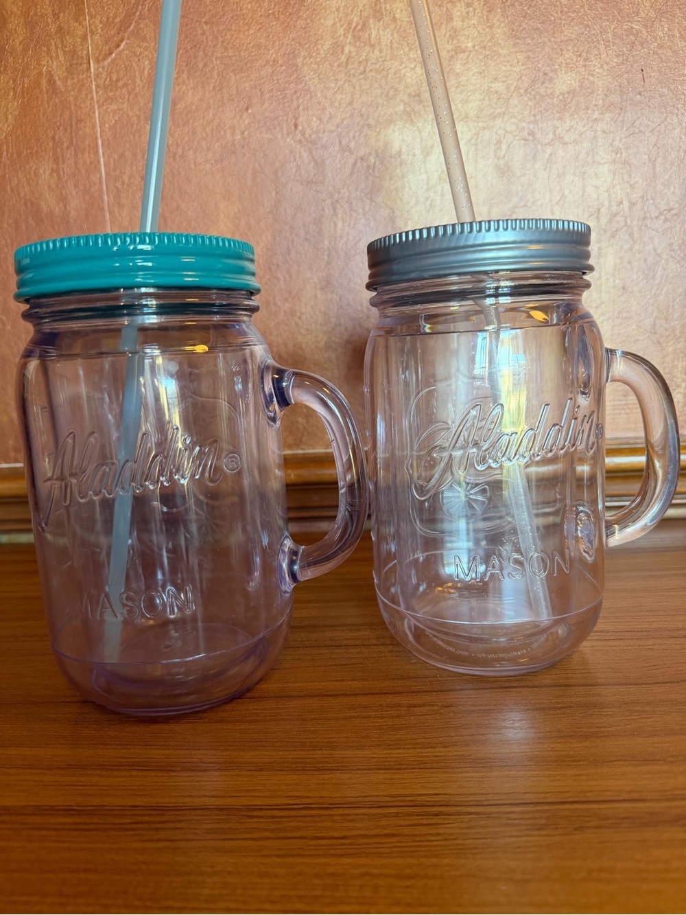 Lot of 2 Aladdin Classic Insulated Mason Jar Tumblers with Lids & Straws 32oz
